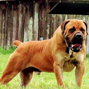 Meet your Posher, Robert